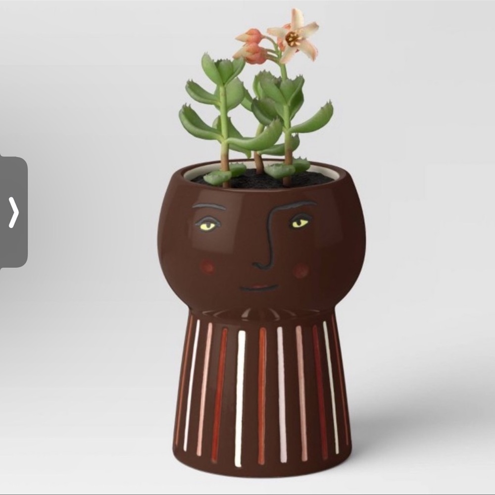 OPALHOUSE NEW outdoor ceramic family planter -dark brown -6”